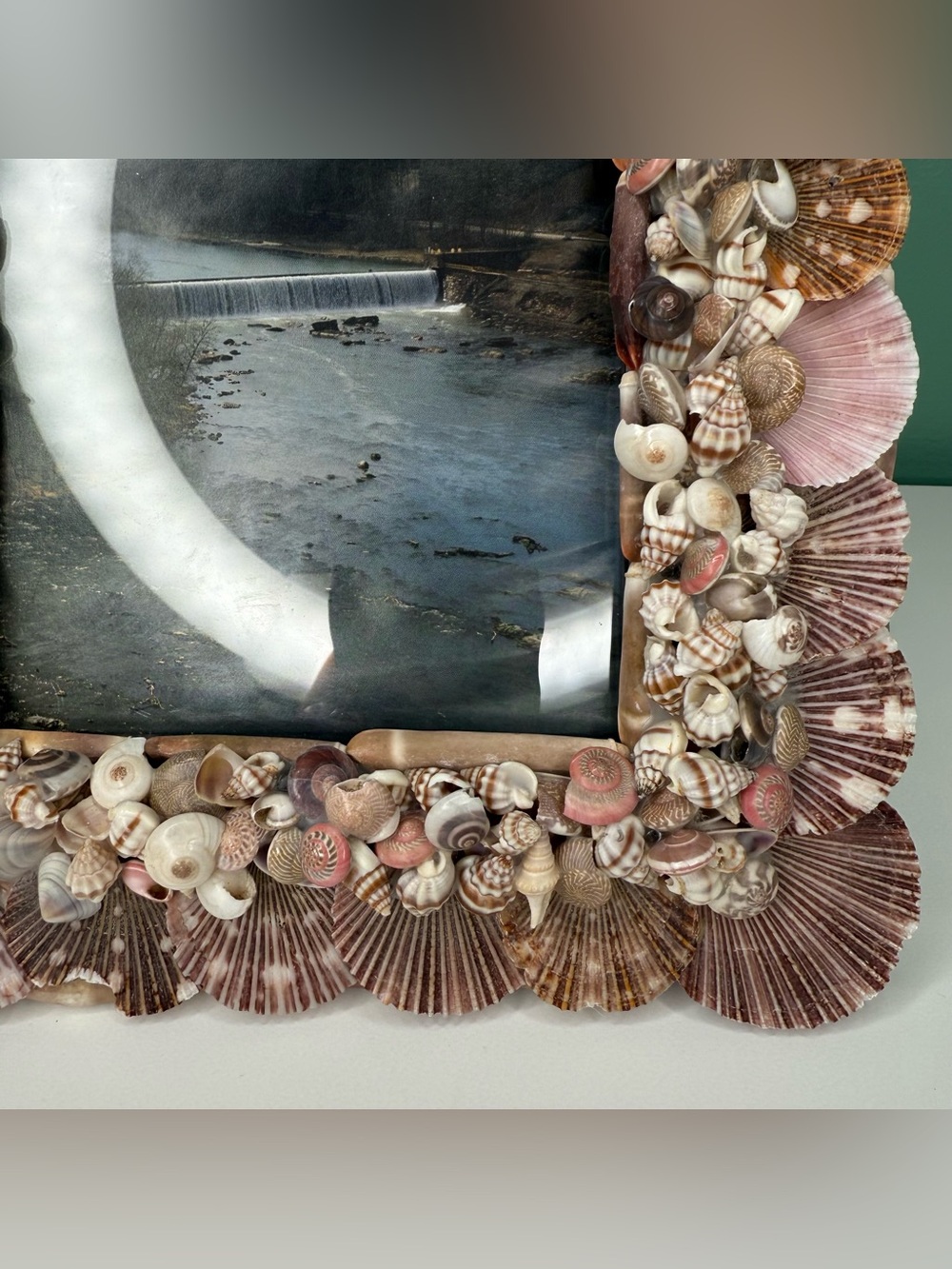 Seashell Shell Photo Picture Frame Natural Coastal Beachy Beach House Decor - Picture 9 of 16